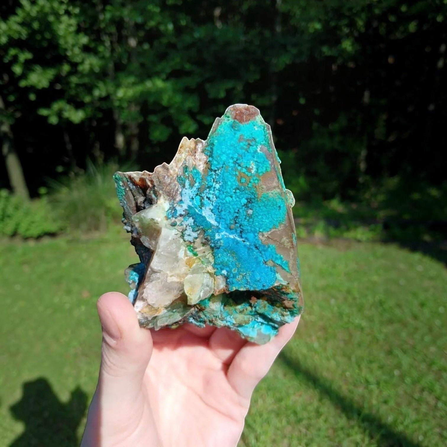 Fordite Haus: Crystals & Fordite Tentadora Quartz specimen featuring vibrant blue Chrysocolla crystals from Peru.