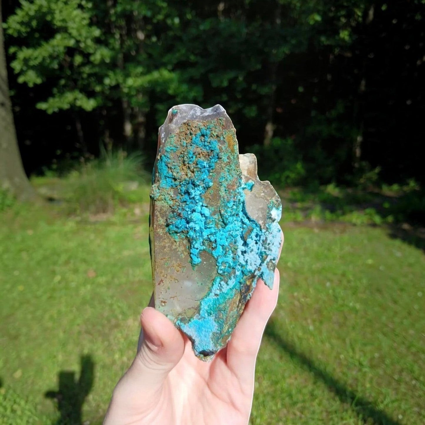 Fordite Haus: Crystals & Fordite Tentadora Quartz specimen featuring vibrant blue Chrysocolla inclusions from Peru.
