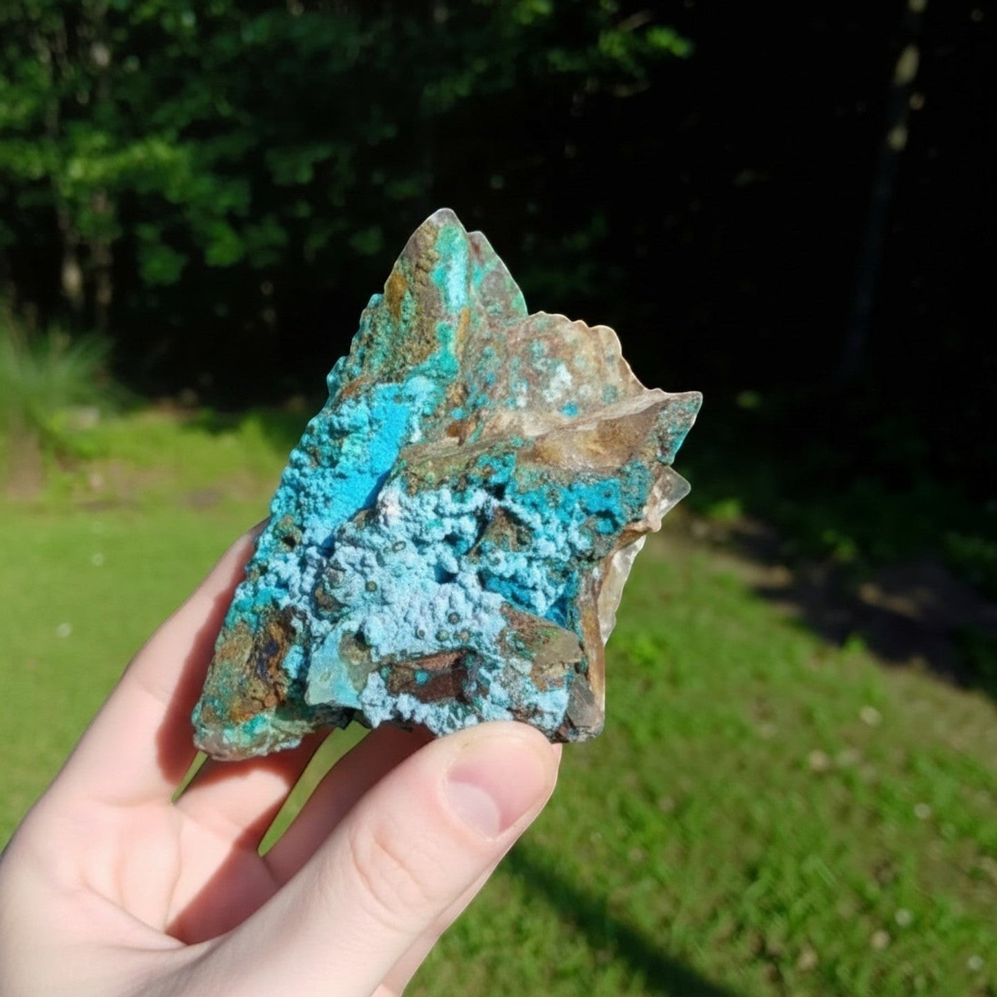 Fordite Haus: Crystals & Fordite Tentadora Quartz specimen featuring vibrant blue chrysocolla crystals from Peru.