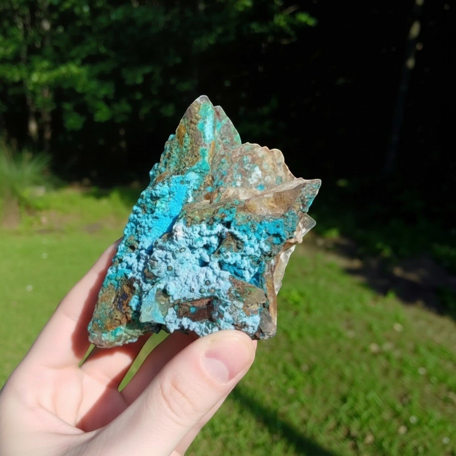 Fordite Haus: Crystals & Fordite Tentadora Quartz specimen featuring vibrant blue chrysocolla crystals from Peru.