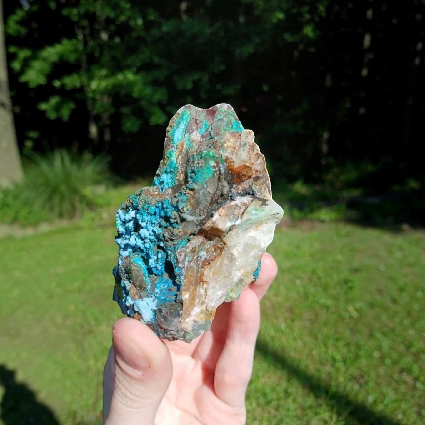 Fordite Haus: Crystals & Fordite Tentadora quartz specimen featuring vibrant blue chrysocolla and clear quartz crystals.