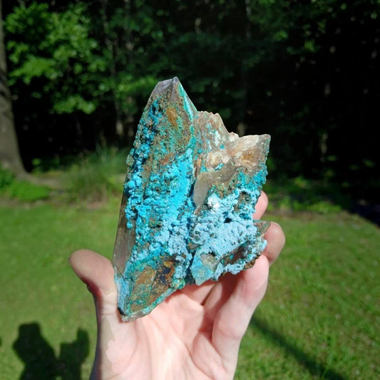 Fordite Haus: Crystals & Fordite Tentadora quartz specimen with vibrant blue chrysocolla inclusions from Peru.